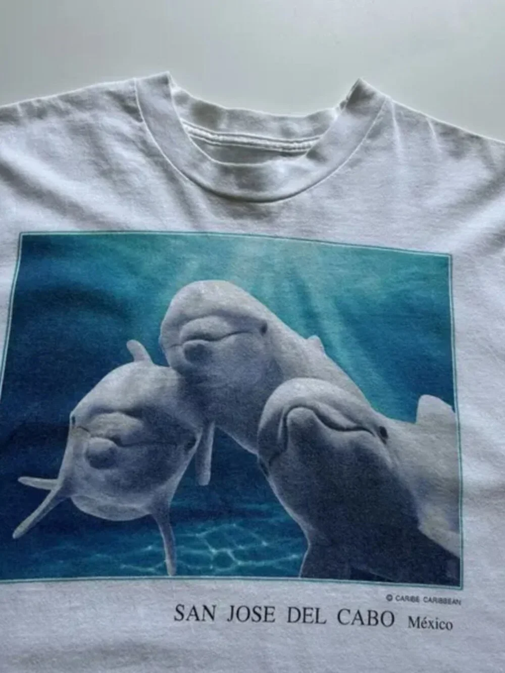 San Jose Del Cabo Mexico Dolphin Nature Tee